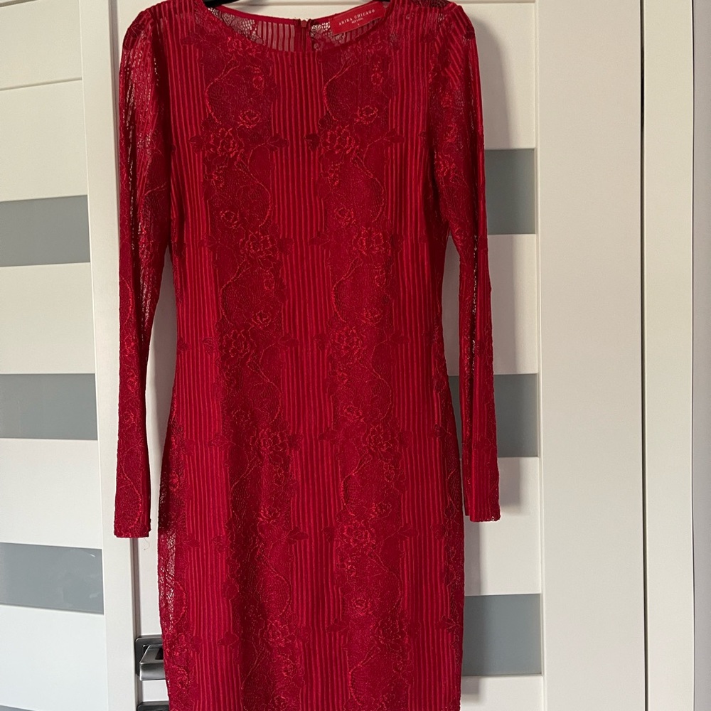 Beautiful AKIRA dress size L
